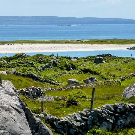 Hernon's Carna * Ardmore (Galway)